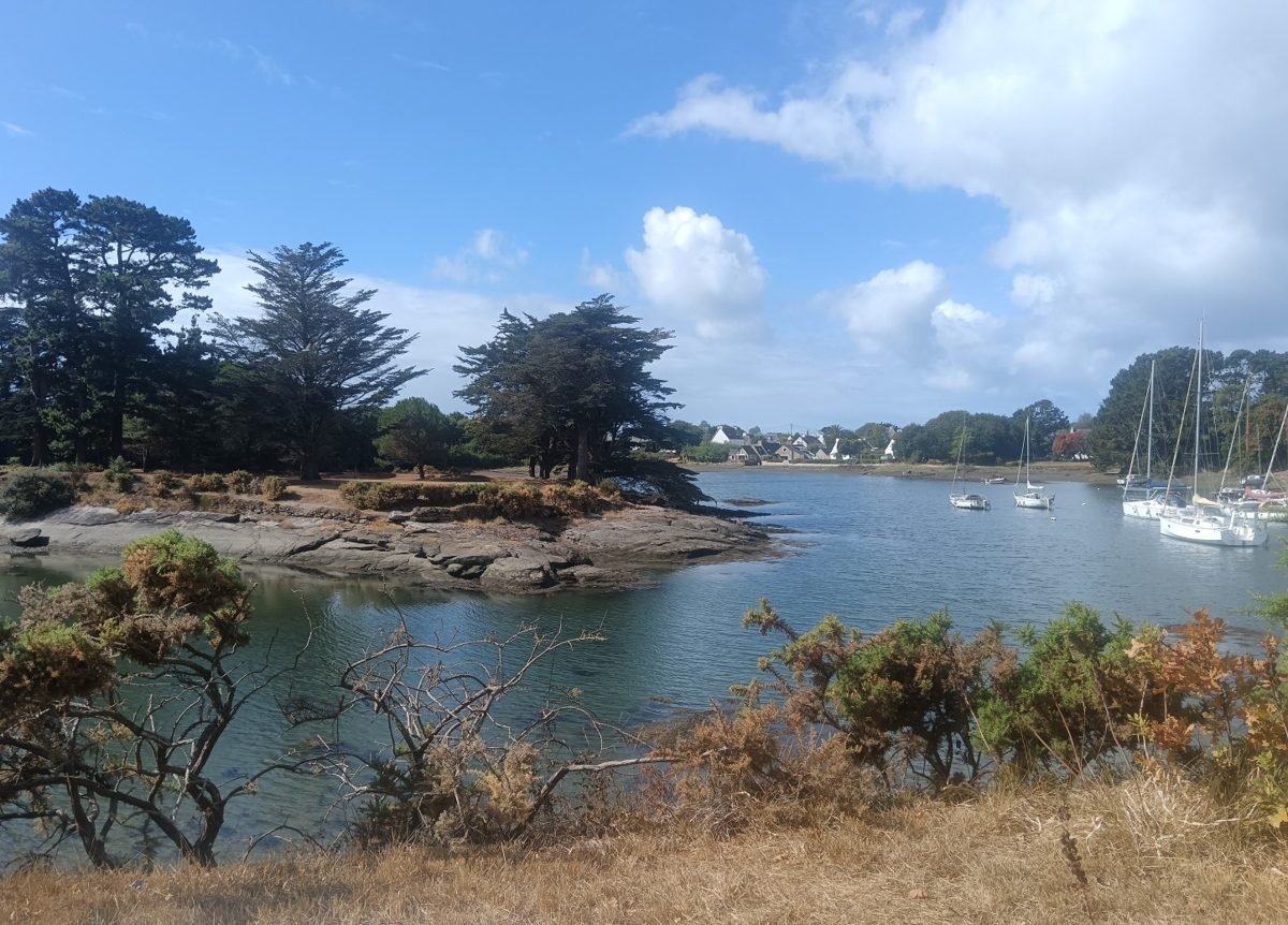 Un petit port breton entre les pins, voiliers au mouillage